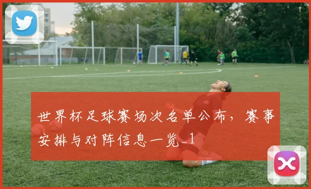 世界杯足球赛场次名单公布，赛事安排与对阵信息一览_1